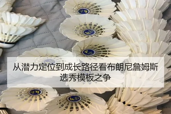 cong-qian-li-ding-wei-dao-cheng-zhang-lu-jing-kan-bu-lang-ni-zhan-mu-si-xuan-xiu-mu-ban-zhi-zheng-1-961.jpg